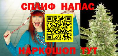 ALPHA-PVP Новозыбков