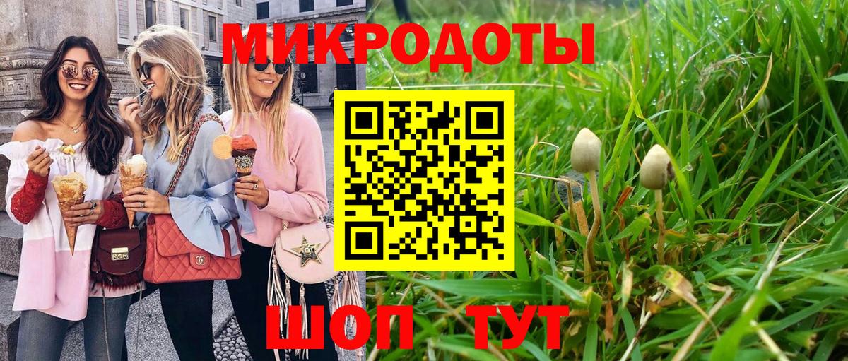 Псилоцибиновые грибы ЛСД  Галлюциногенные грибы Magic Shrooms  Вход с VPN  Сунжа 